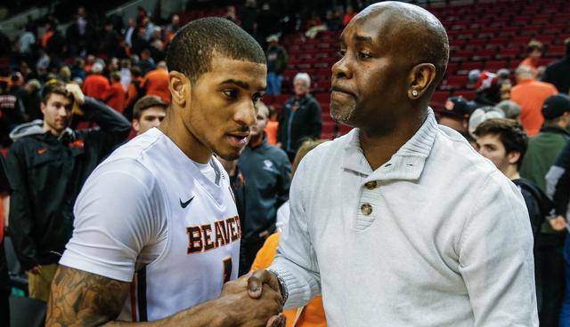 场均盖帽 场均盖帽